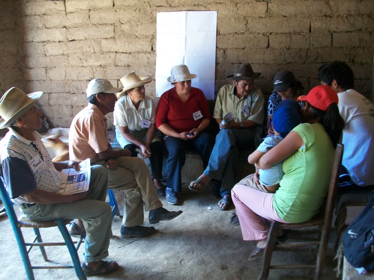 reunión JASS