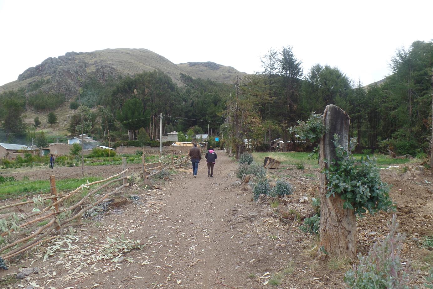 Evaluación preliminar Puno