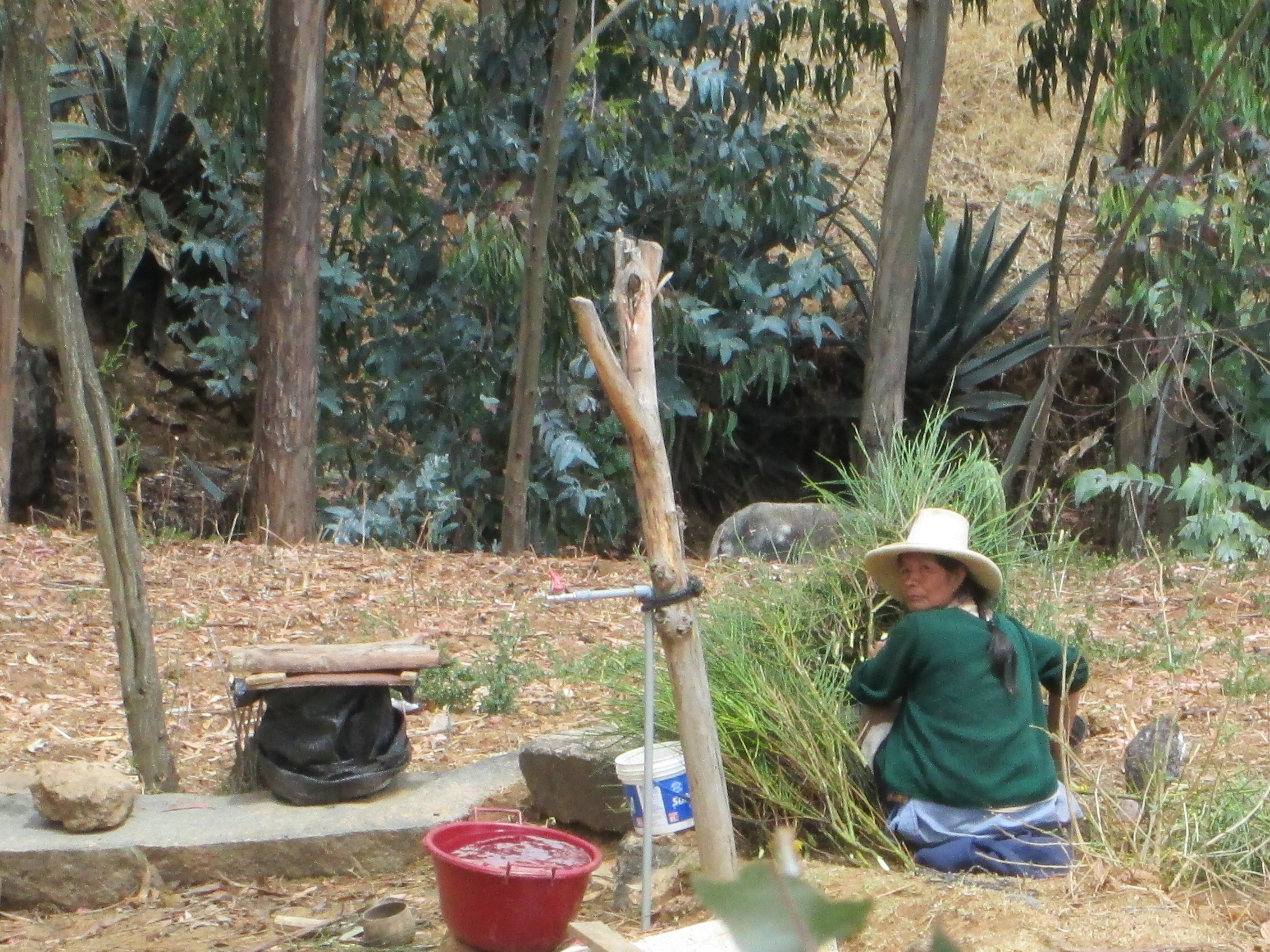 agua en vivienda2
